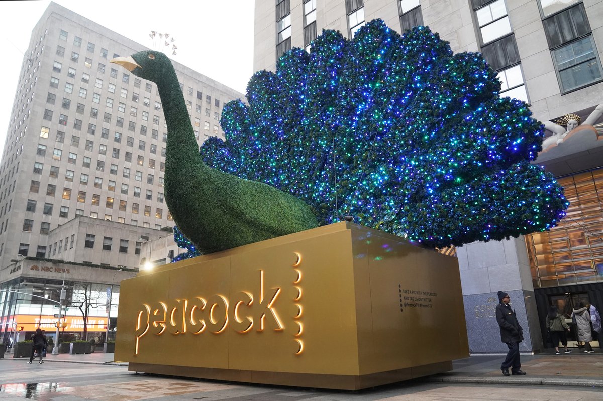 Peacocks Ad Strategy Battles Streaming Rivals for Viewers Attention?